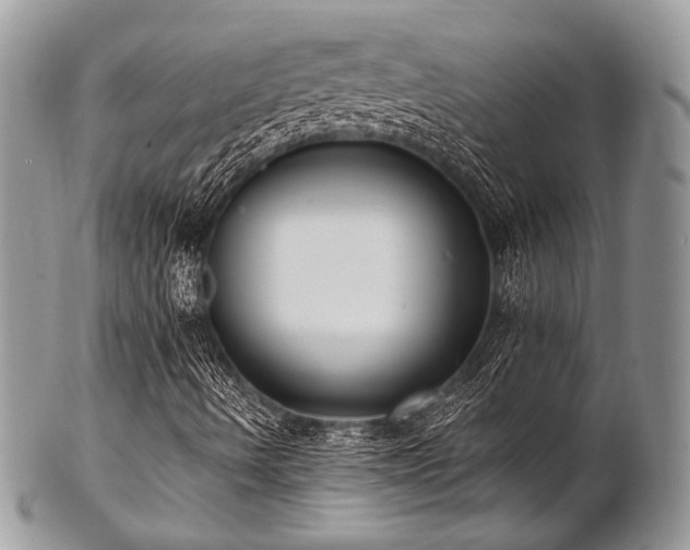 X0000102811490200808181211