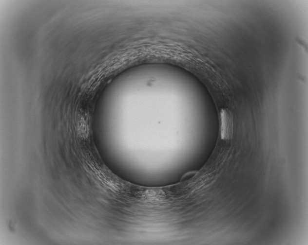 X0000102811491200808181211