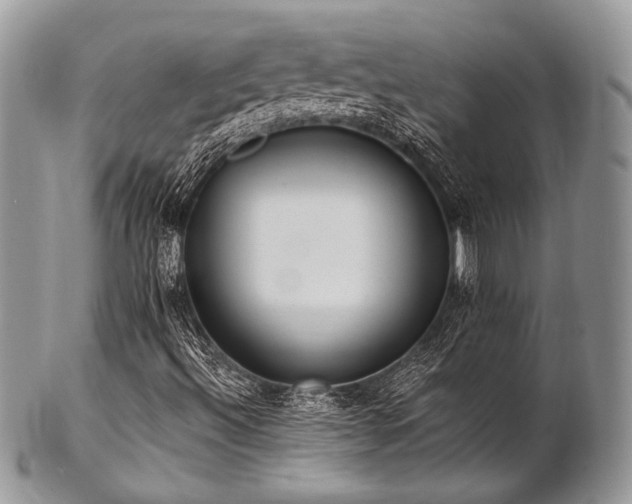 X0000102811492200808181211