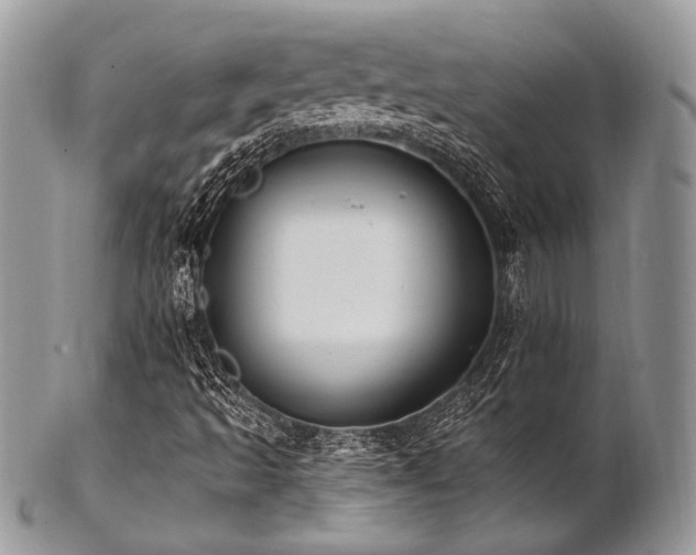 X0000102811493200808181211