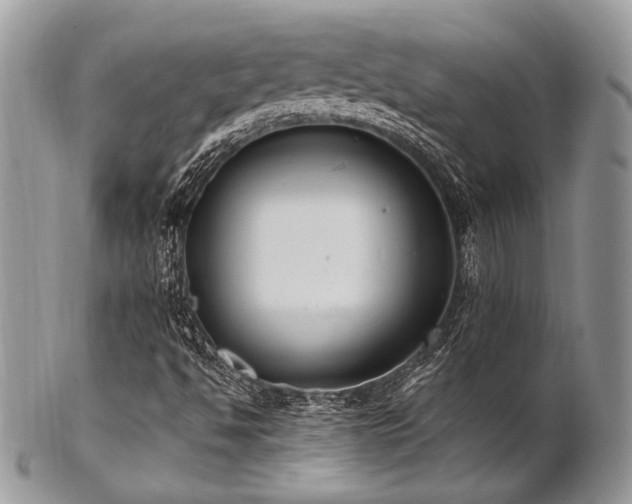 X0000102811494200808181211