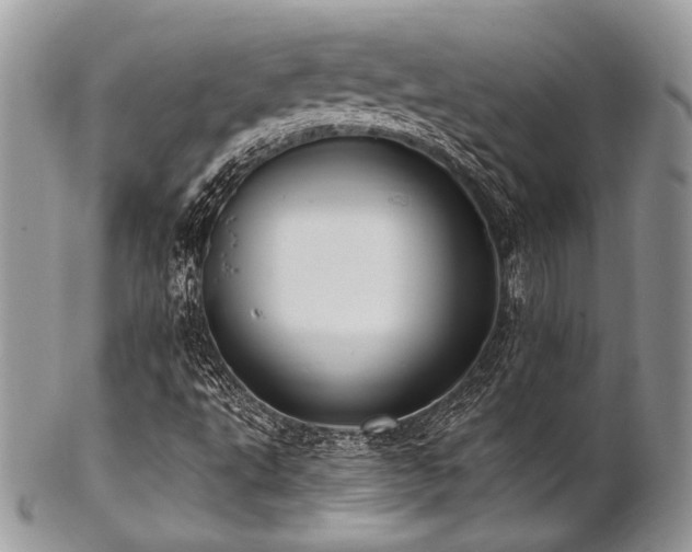 X0000102811495200808181211