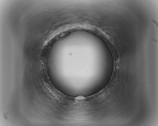 X0000102811496200808181211