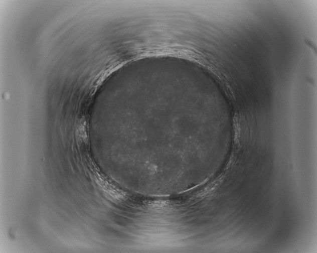 X0000102811497200808181211