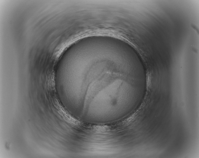 X0000102811498200808181211