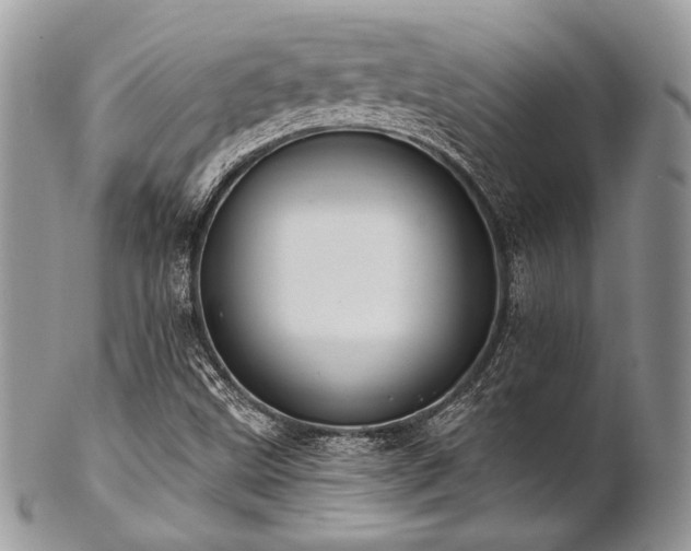 X0000102811499200808181211