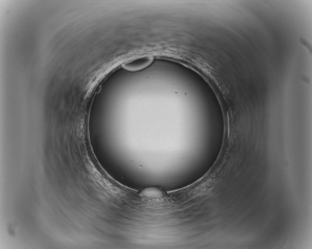 X0000102811500200808181211