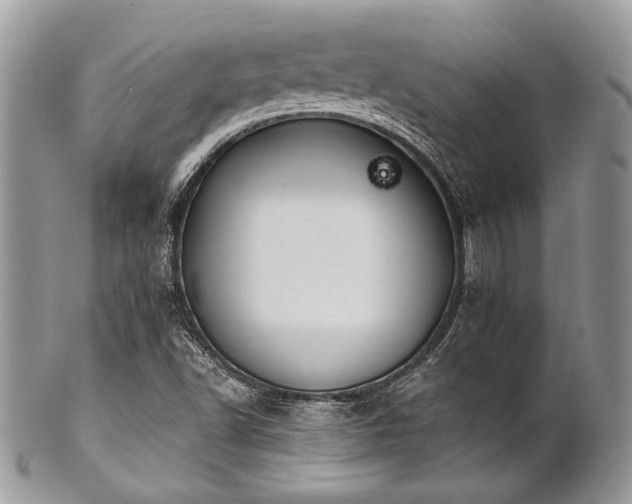 X0000102811502200808181211