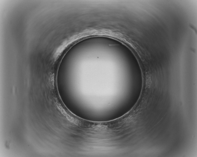 X0000102811503200808181211