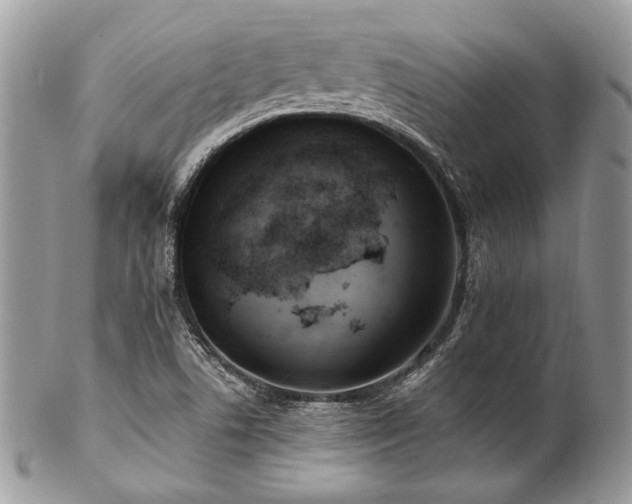 X0000102811506200808181211