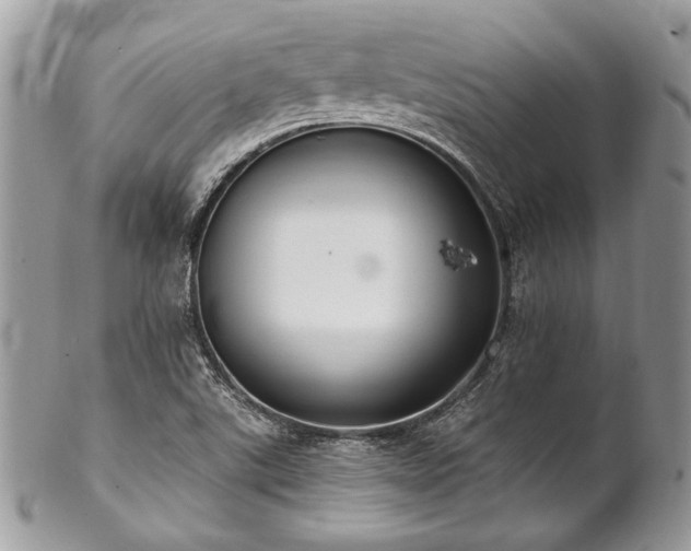 X0000102811507200808181211