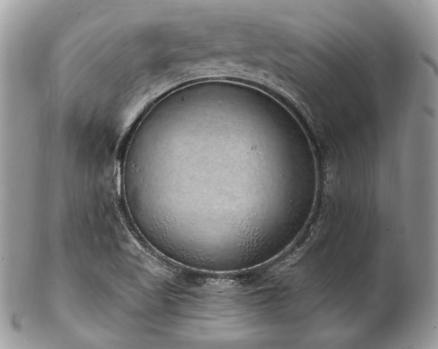 X0000102811509200808181211