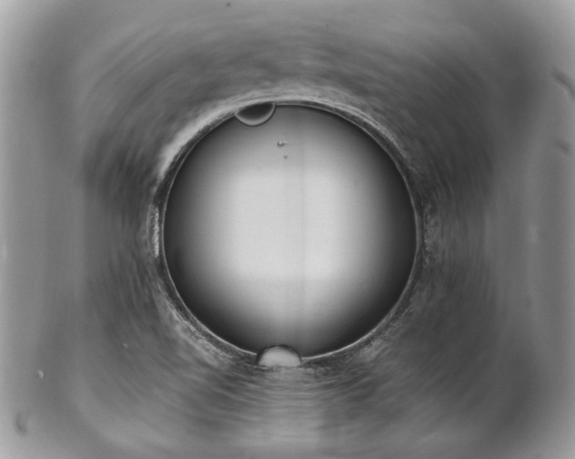 X0000102811510200808181211