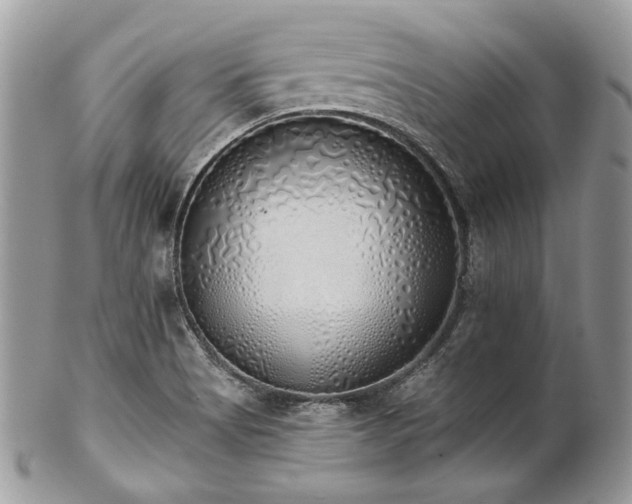 X0000102811513200808181211