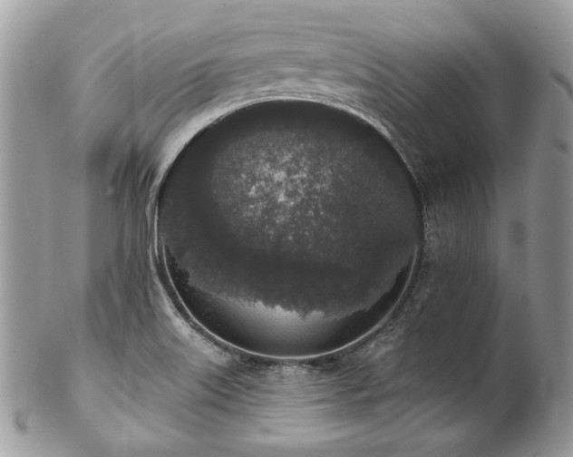 X0000102811515200808181211