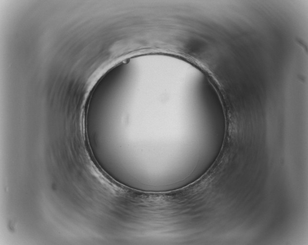 X0000102811516200808181211