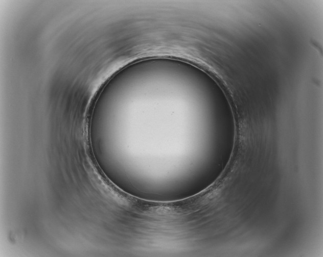 X0000102811517200808181211