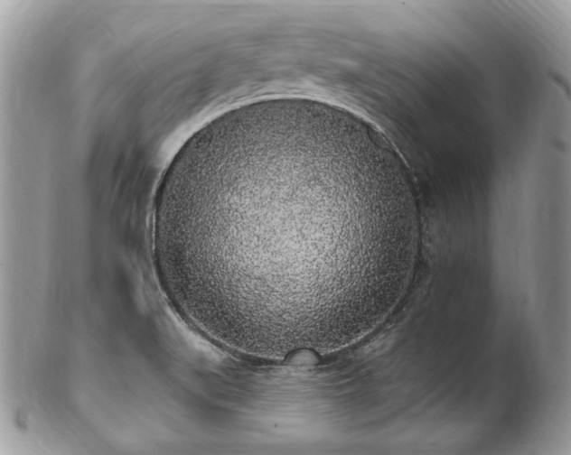 X0000102811519200808181211