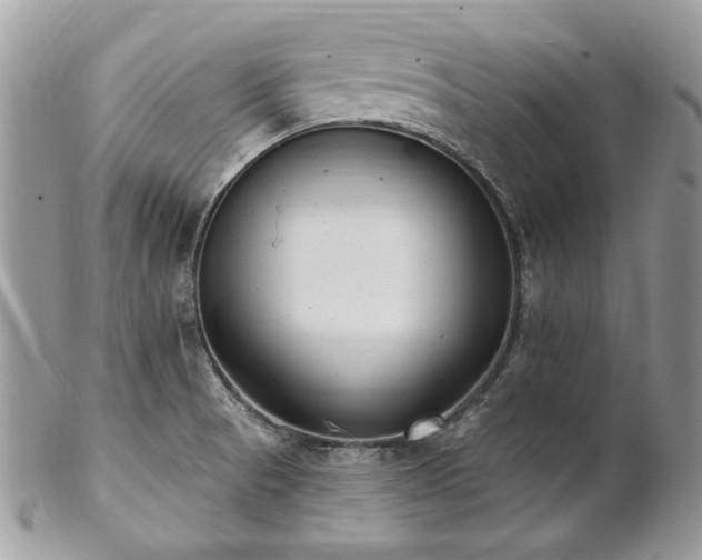 X0000102811521200808181211