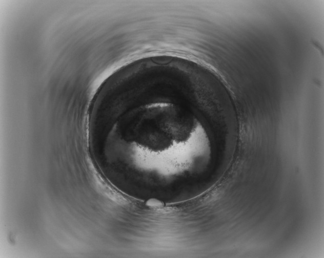 X0000102811522200808181211