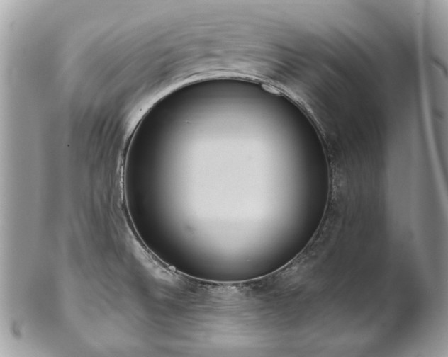 X0000102811524200808181211