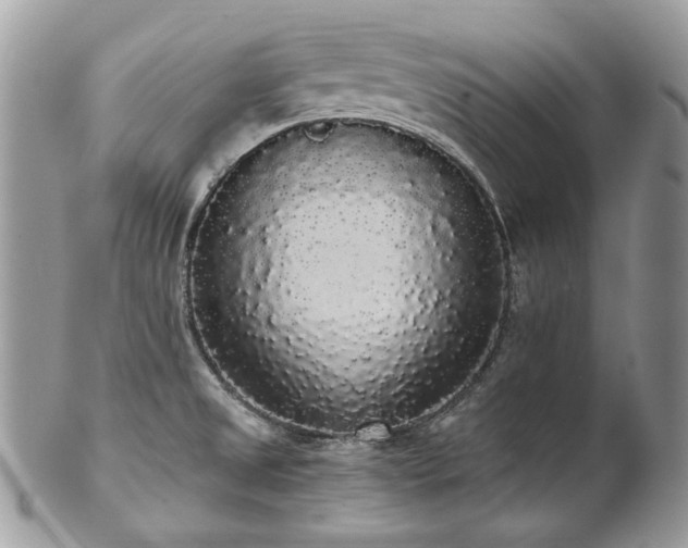 X0000102811525200808181211