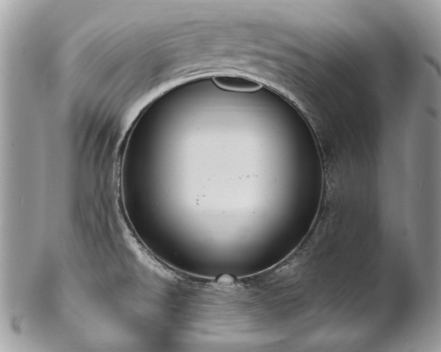 X0000102811526200808181211