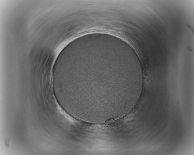 X0000102811527200808181211