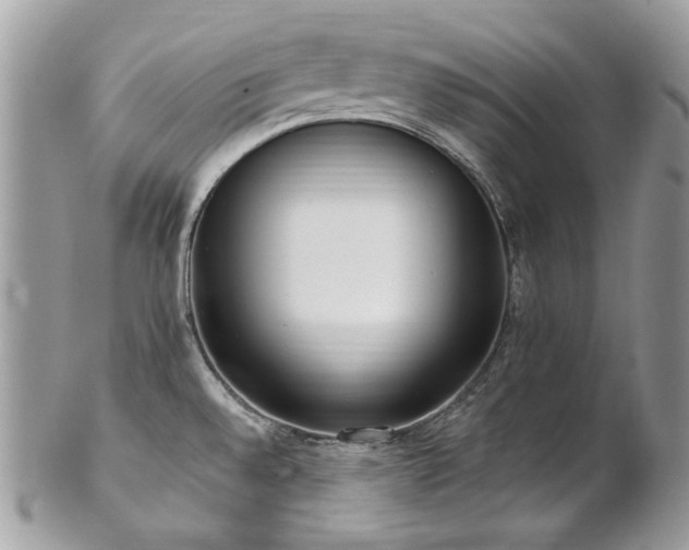 X0000102811528200808181211