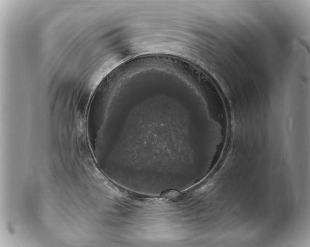 X0000102811529200808181211