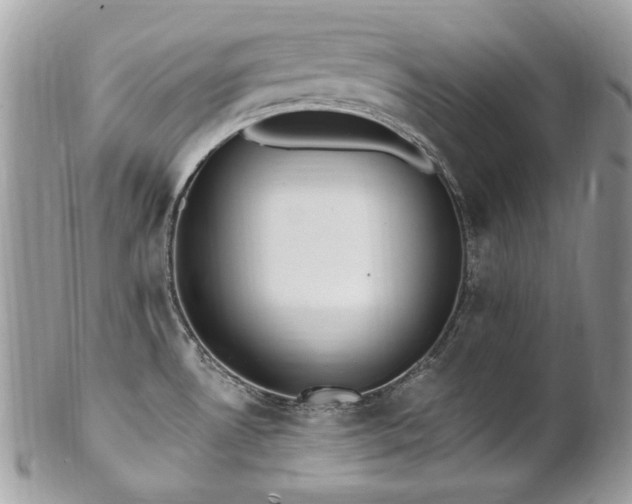 X0000102811530200808181211