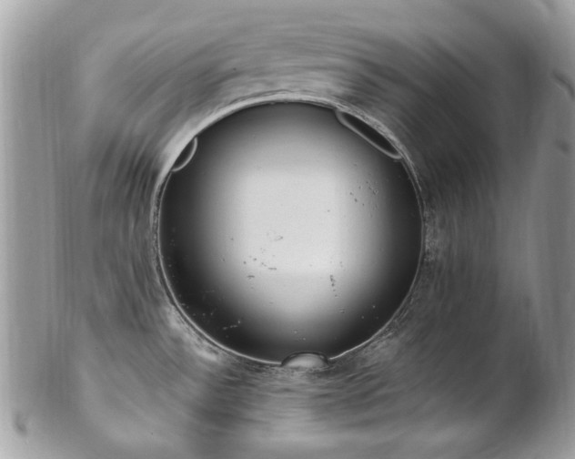 X0000102811532200808181212