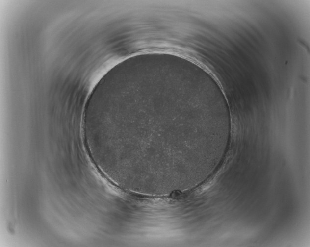 X0000102811533200808181212