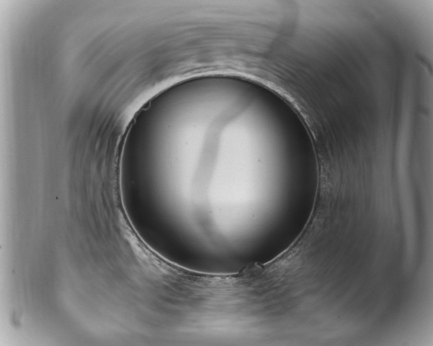 X0000102811534200808181212