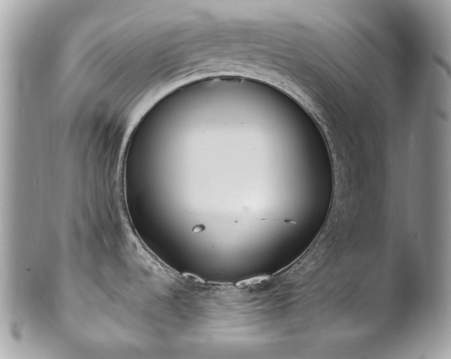 X0000102811536200808181212