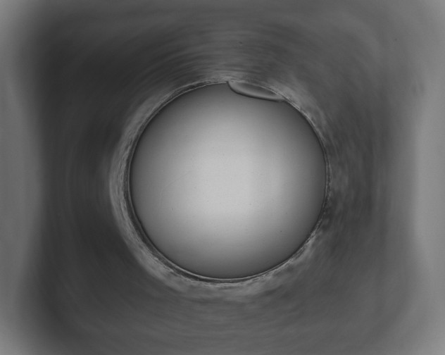 X0000102810001200808251119