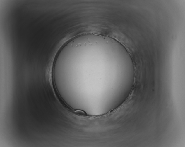 X0000102810003200808251119