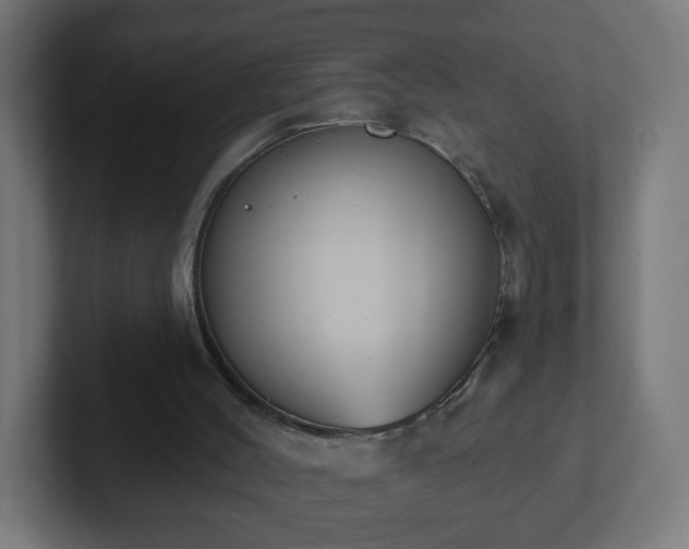 X0000102810004200808251119