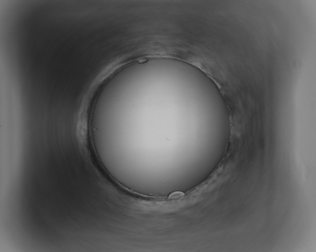 X0000102810005200808251119