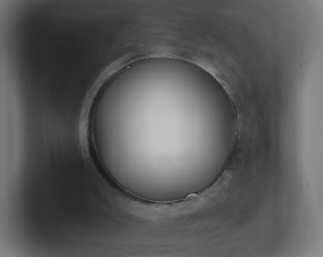 X0000102810007200808251119