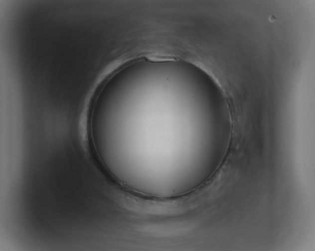 X0000102810008200808251119