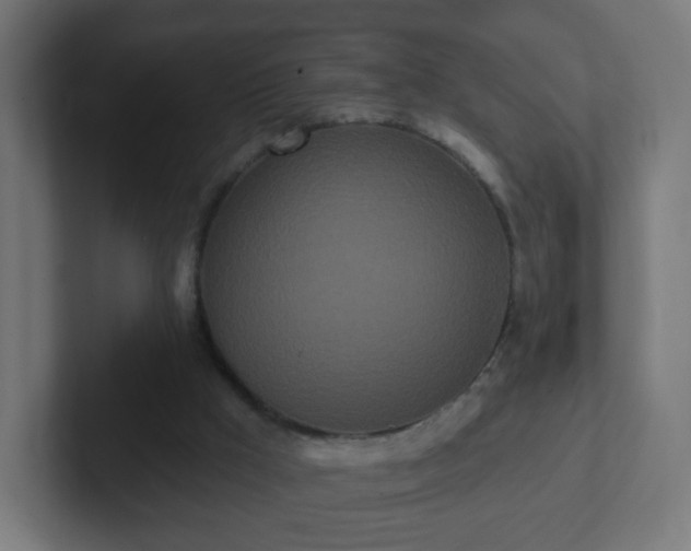 X0000102810009200808251119