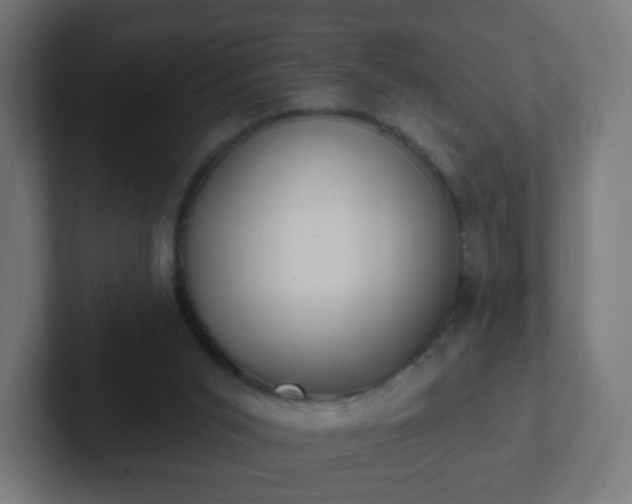 X0000102810015200808251119