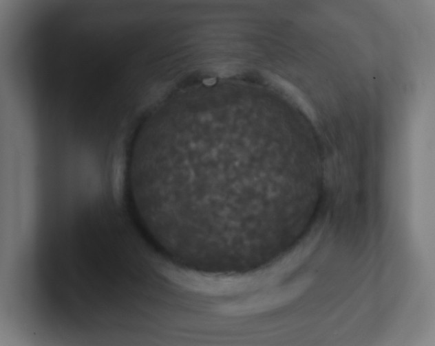 X0000102810018200808251119