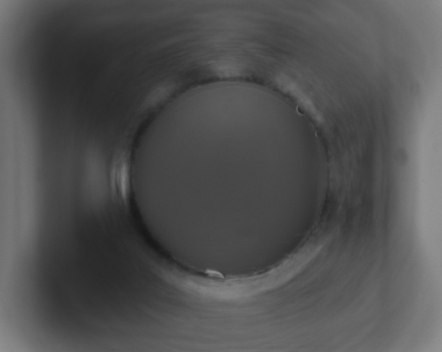 X0000102810019200808251119