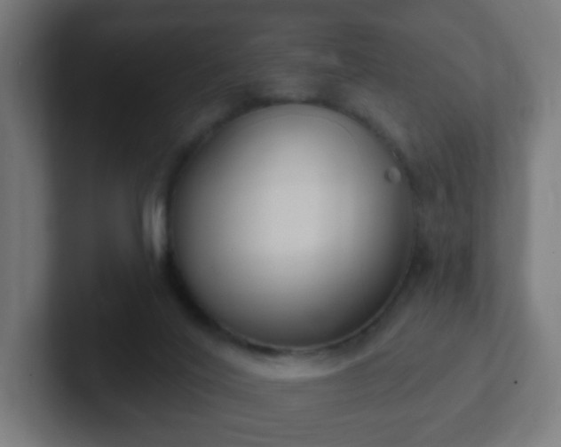 X0000102810020200808251119