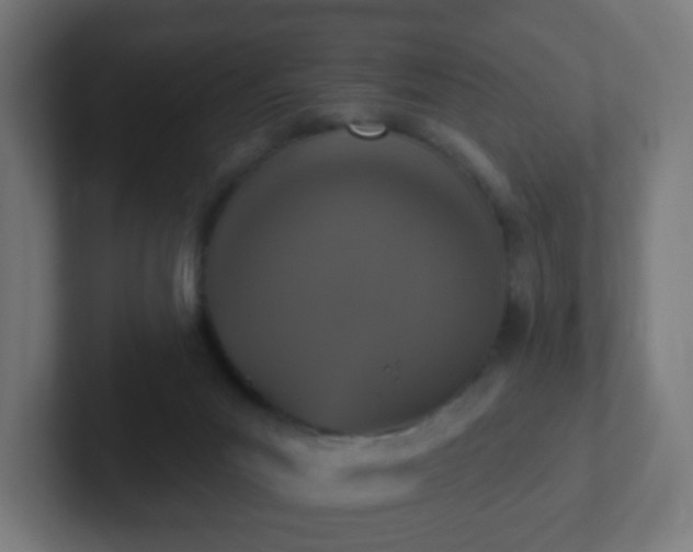 X0000102810023200808251119