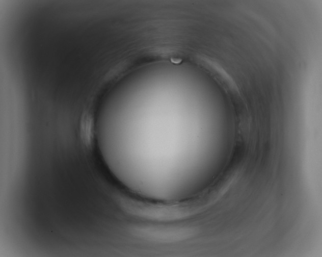 X0000102810024200808251119