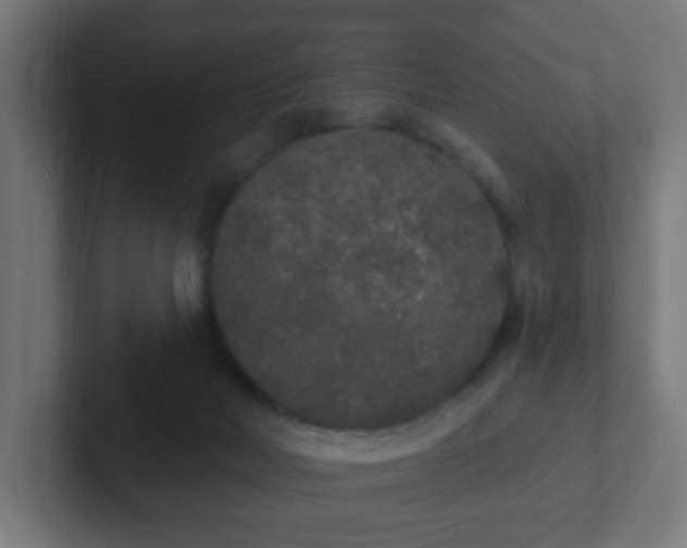 X0000102810026200808251118