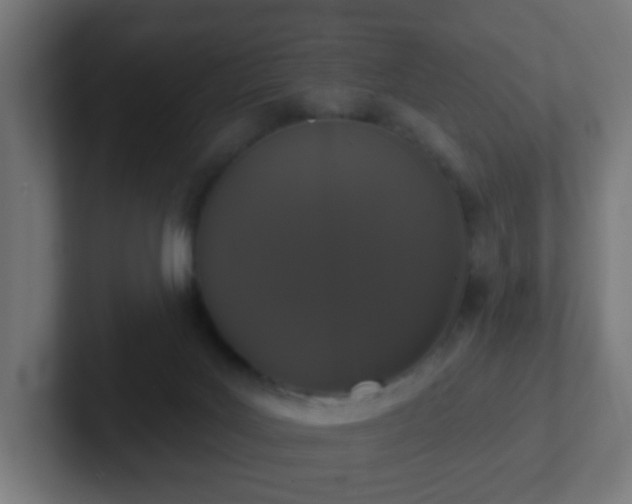 X0000102810027200808251118